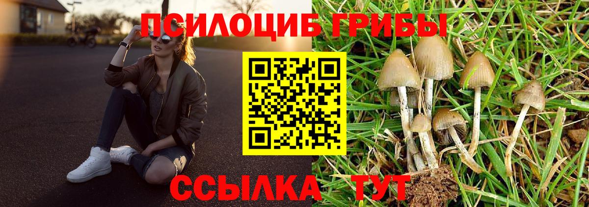 где продают   Вход с VPN  Владивосток  Галлюциногенные грибы GOLDEN TEACHER 