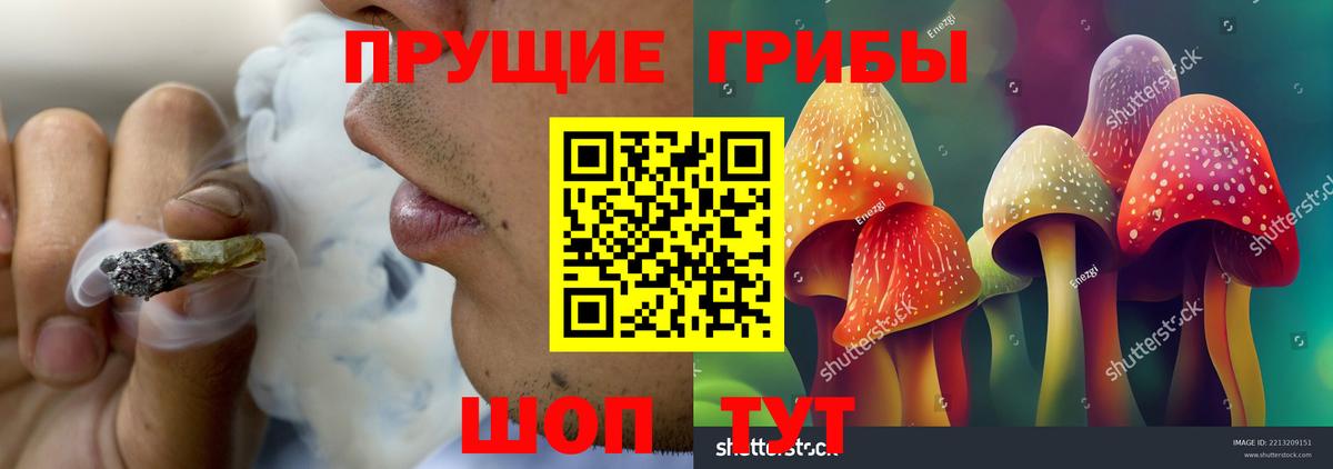 Галлюциногенные грибы мухоморы Владивосток